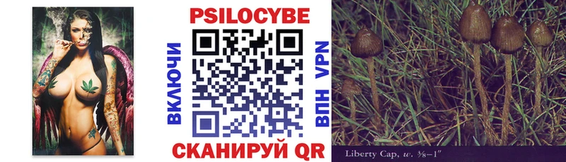 Псилоцибиновые грибы Psilocybe  Купить где  Энгельс 